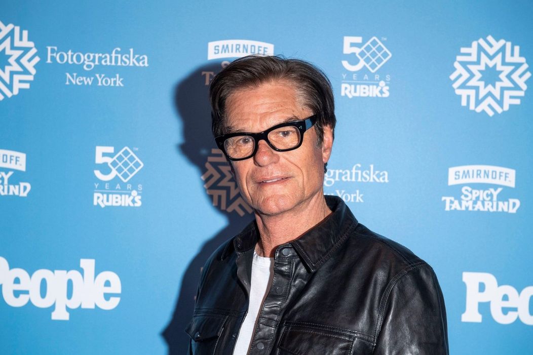 Harry Hamlin dnes