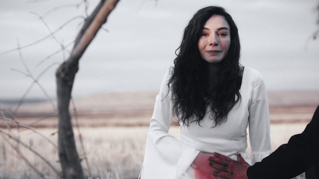 Spútaný motýľ
