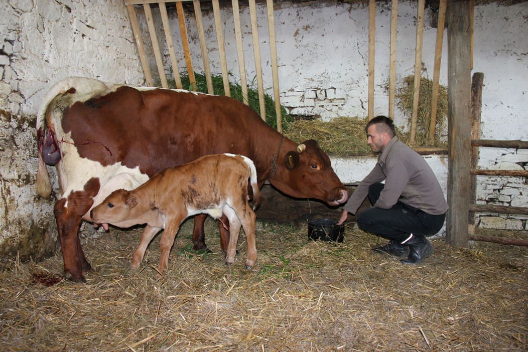 Farma - Zábery z 1. série, rok 2011