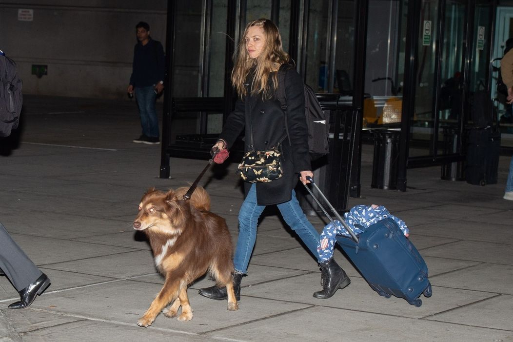 Amanda Seyfried s milovaným spoločníkom, psíkom Finnom. 