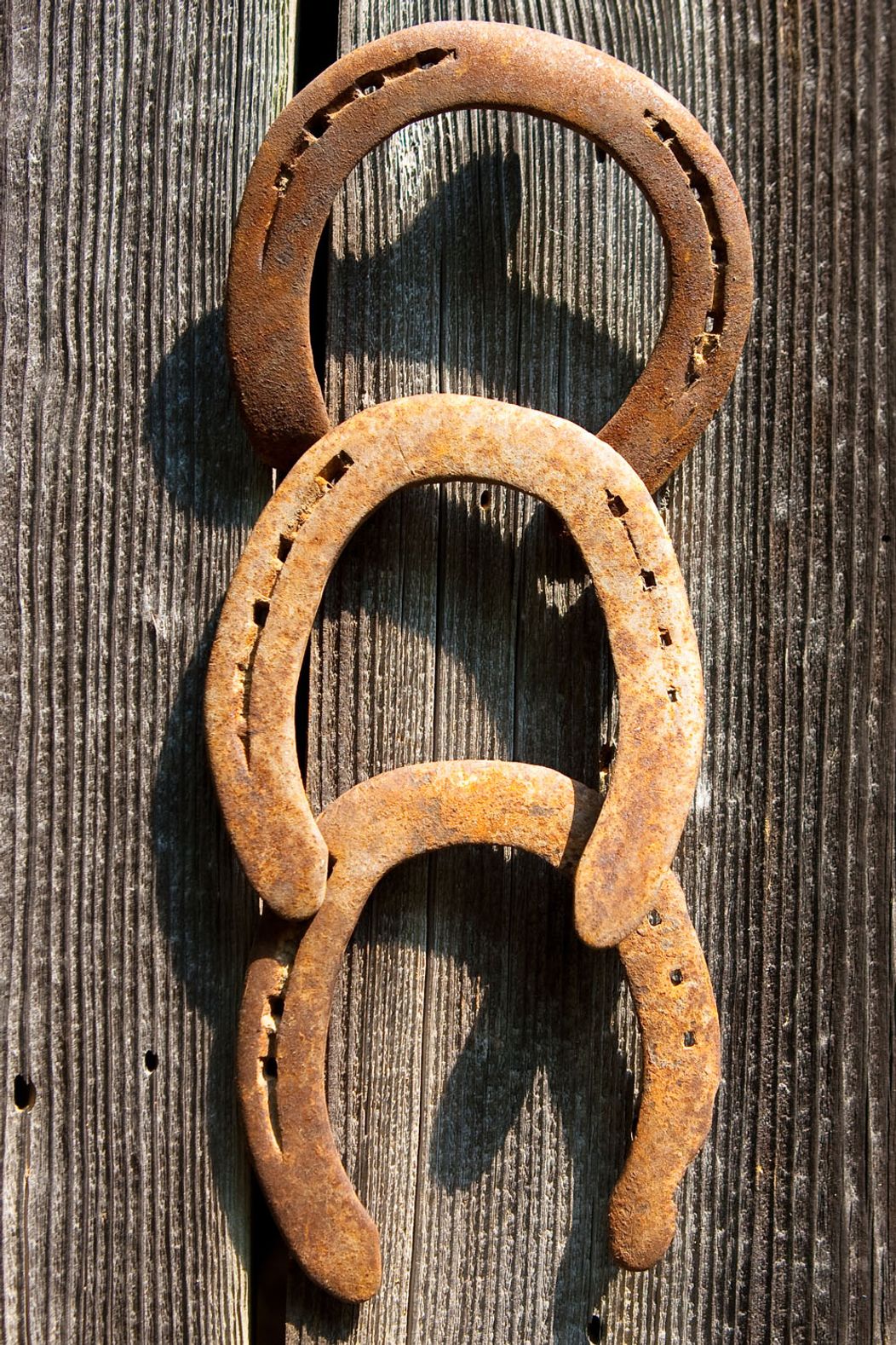 Farma - Zábery z 1. série, rok 2011