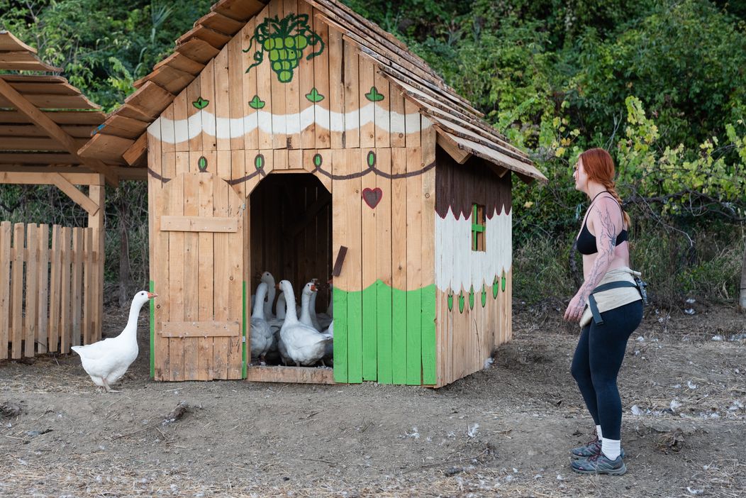 33. deň na Farme