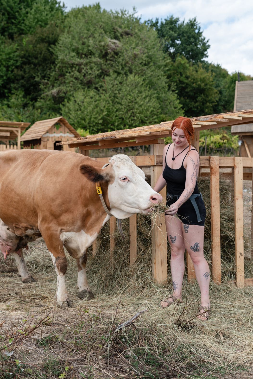 29. deň na Farme