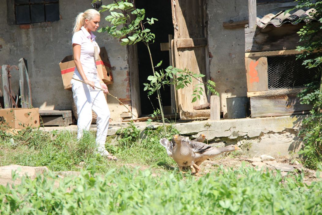 Farma - Zábery z 1. série, rok 2011