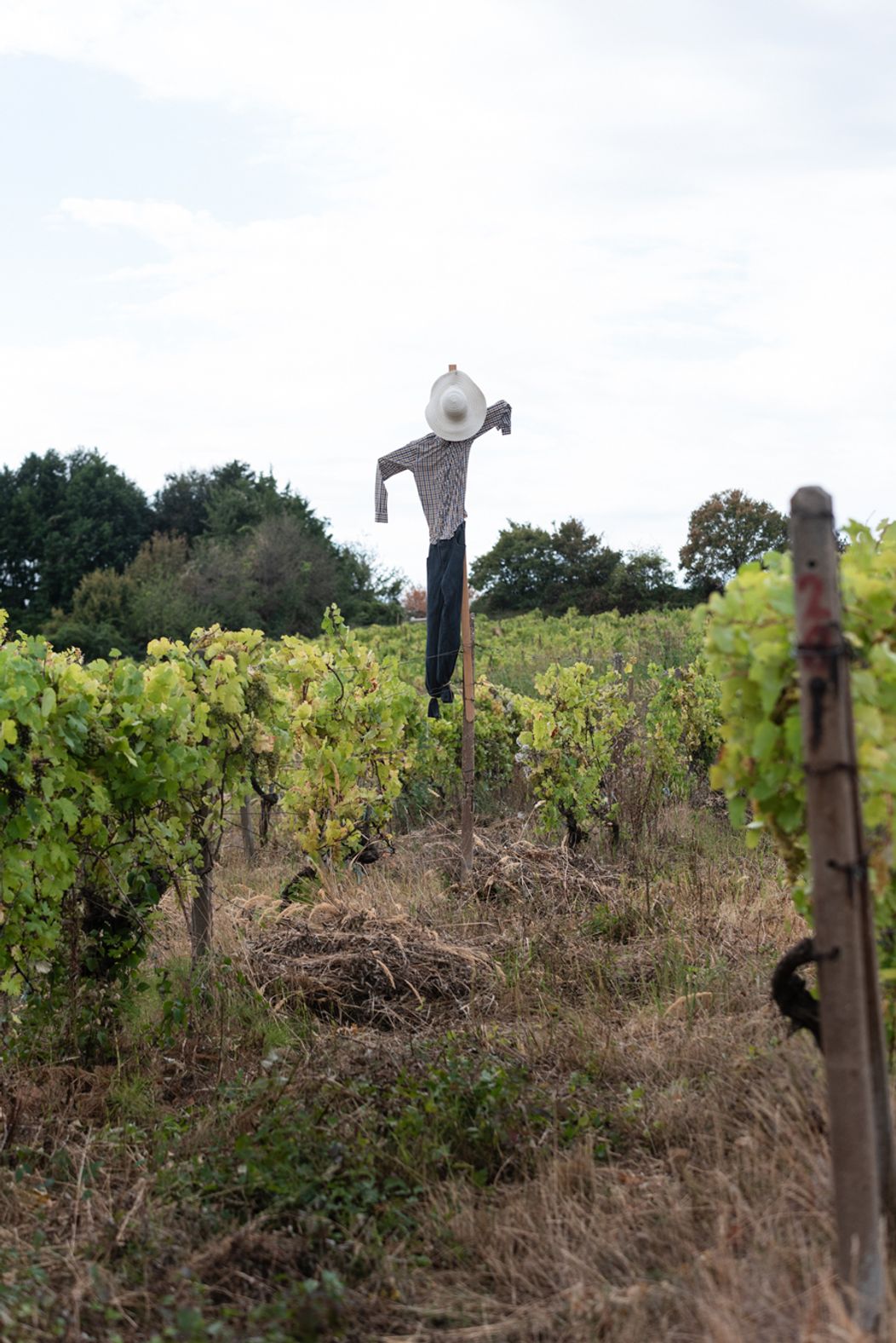 Piaty duel na Farme