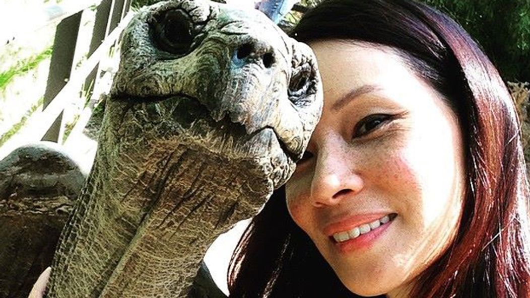 Lucy Liu a korytnačka (selfie)
