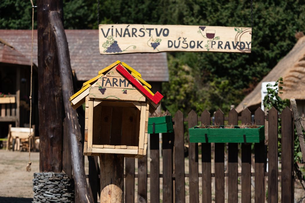 36. deň na Farme