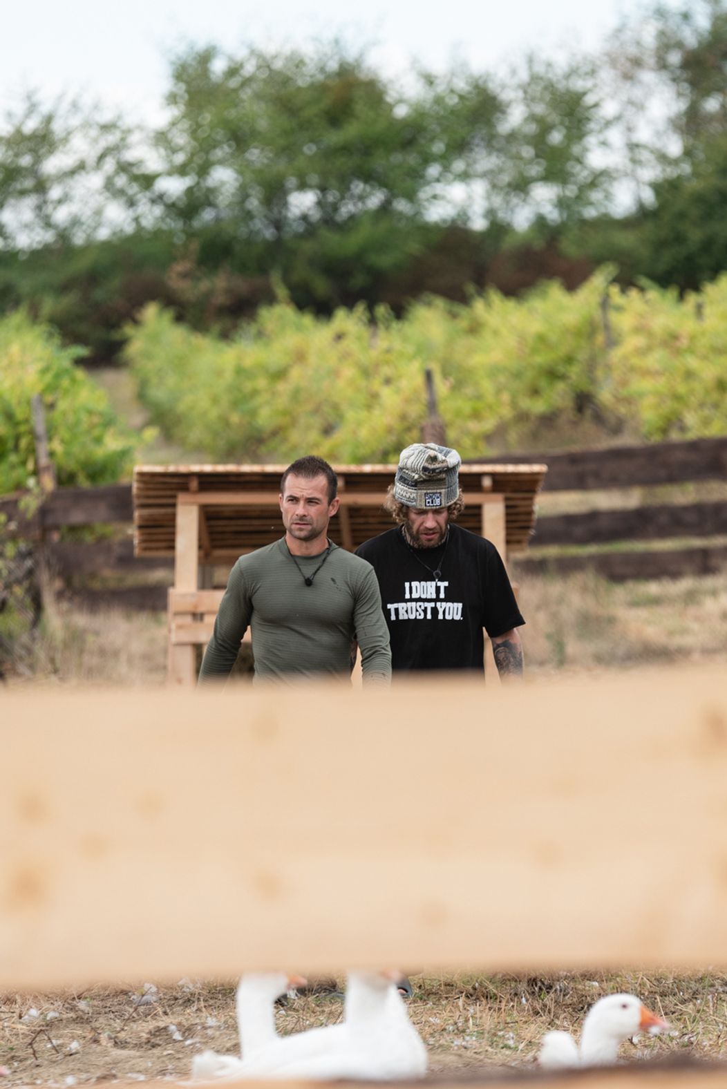 Piaty duel na Farme