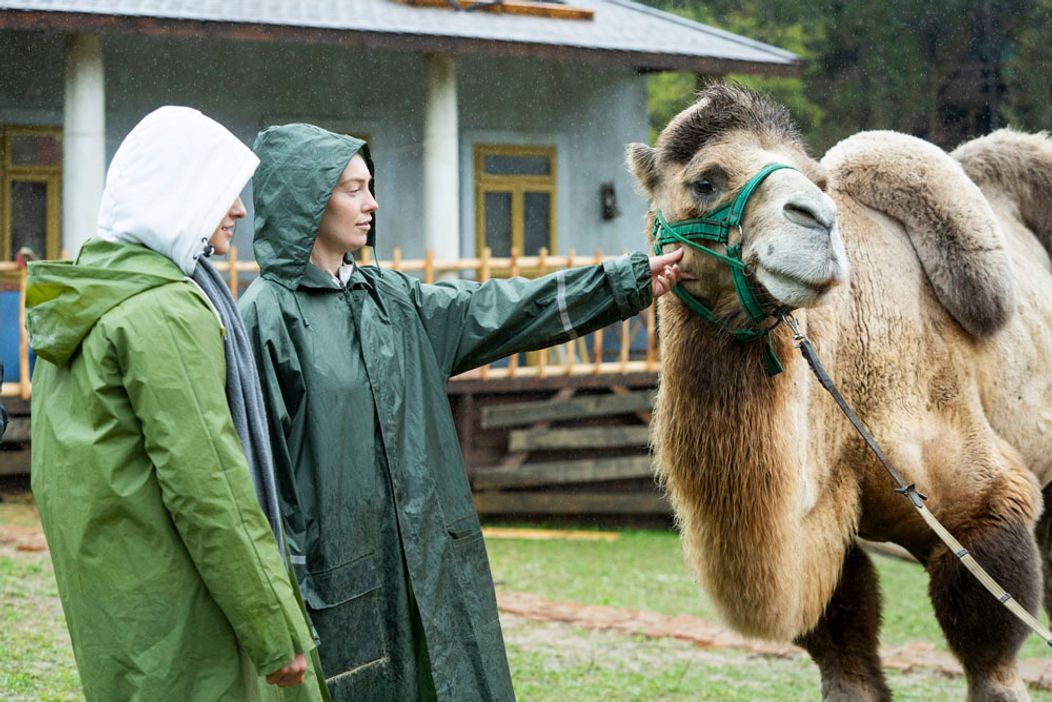 Deň 61 - Peter má imunitu, farmári ťavu!