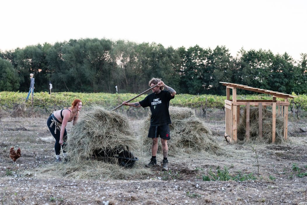 33. deň na Farme