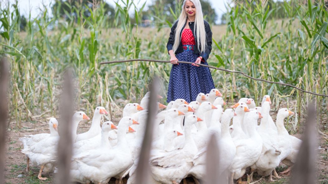 Daniela Nikoleta Kortišová, Farma