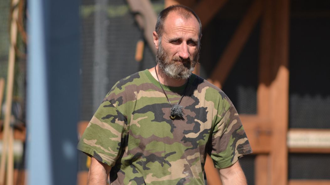 Vodič zrážal kengury v Austrálii