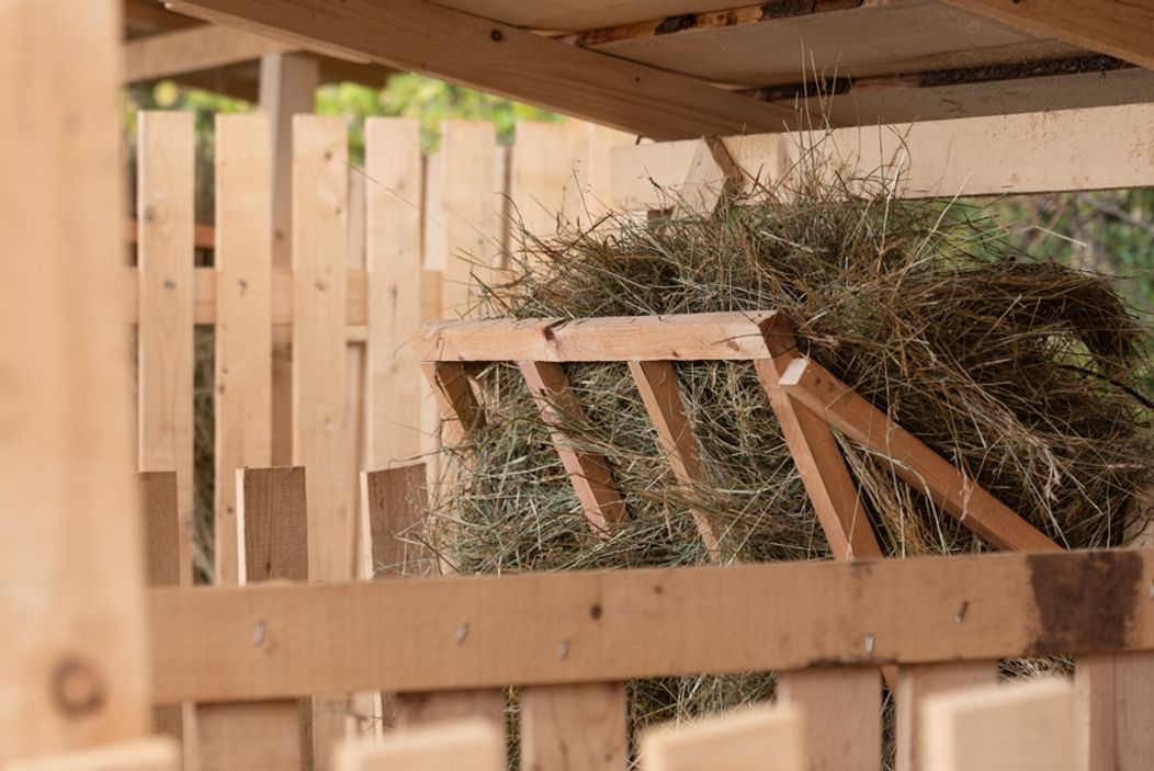 Piaty duel na Farme