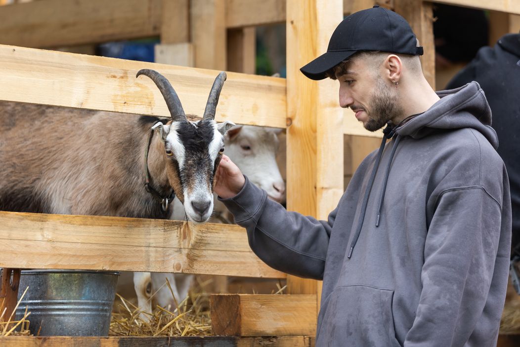 Prvý deň na Farme
