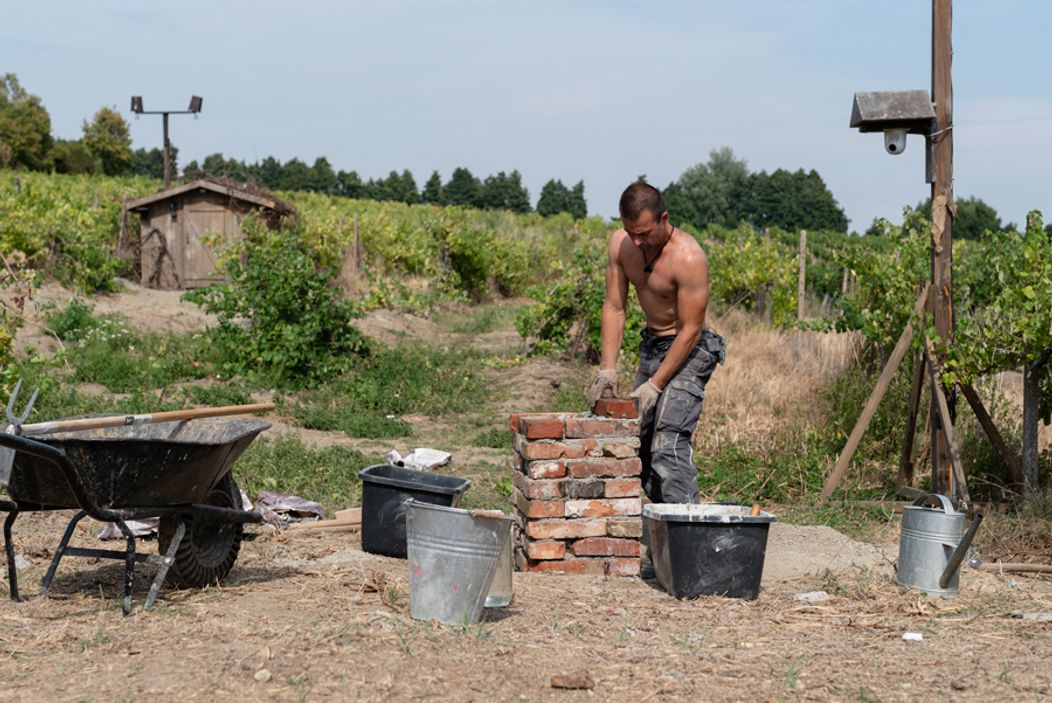 13. deň na Farme