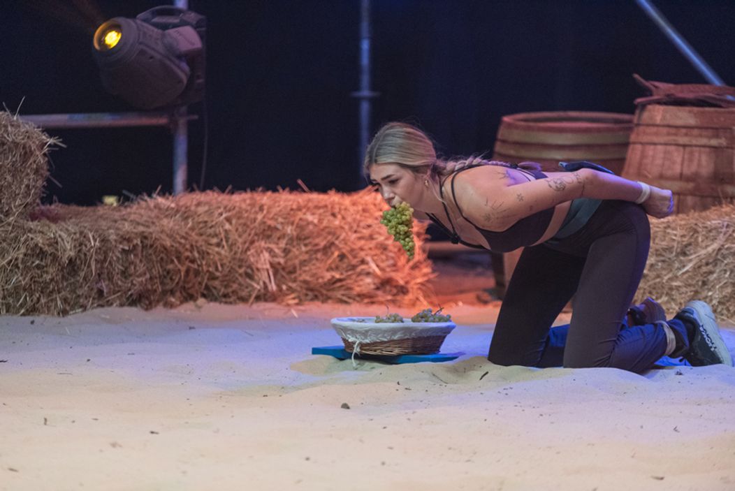 Druhý duel na Farme