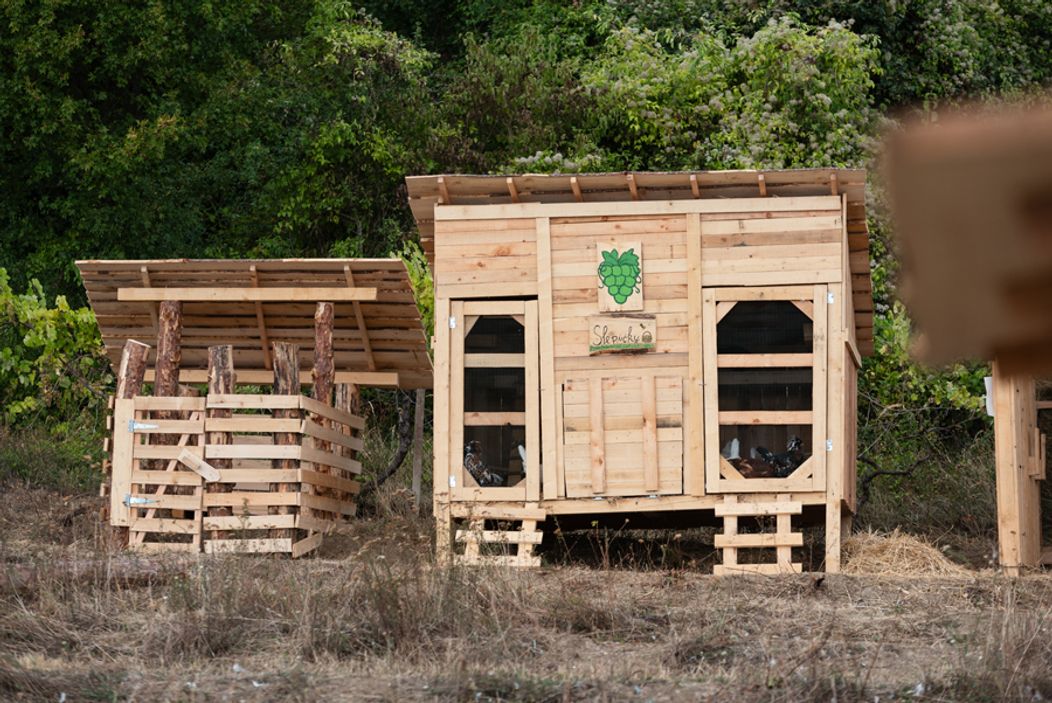 Piaty duel na Farme