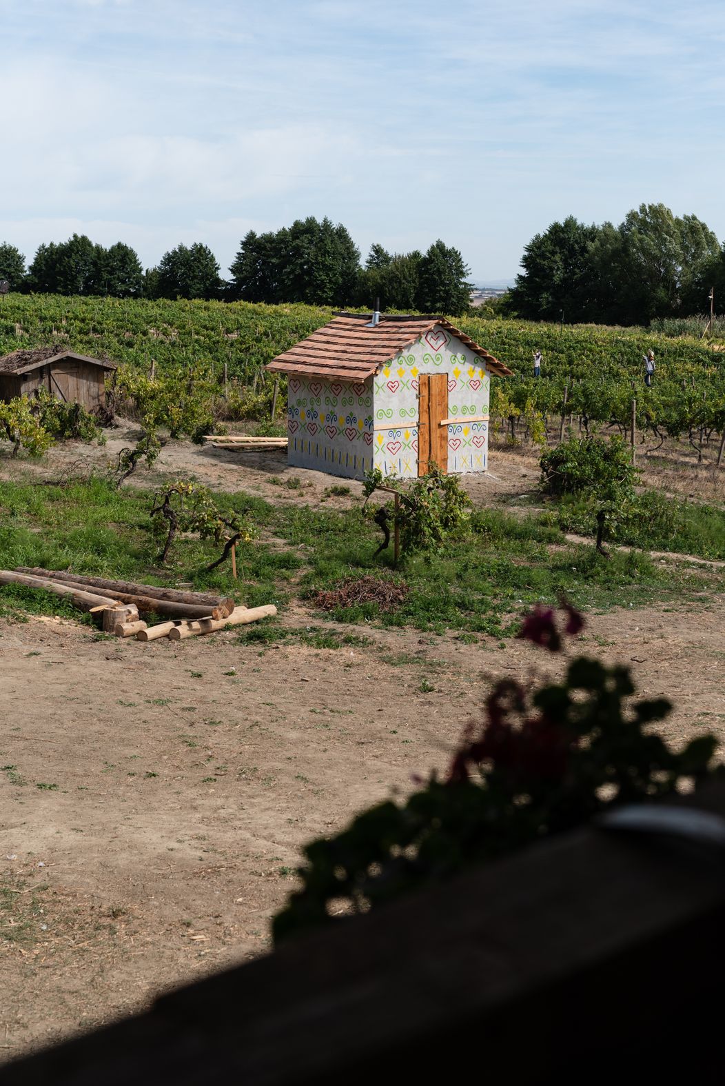 33. deň na Farme