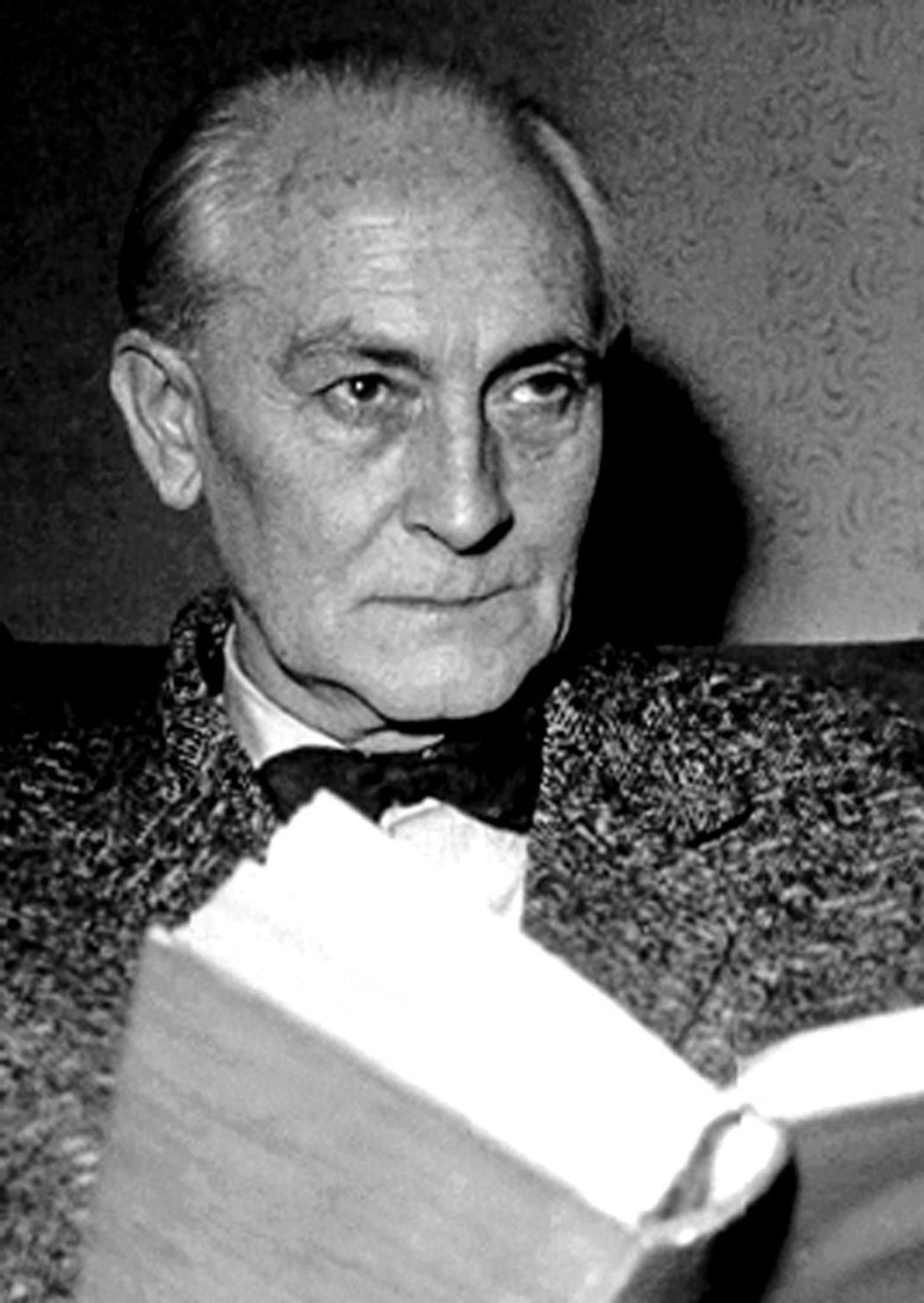 František Krištof Veselý