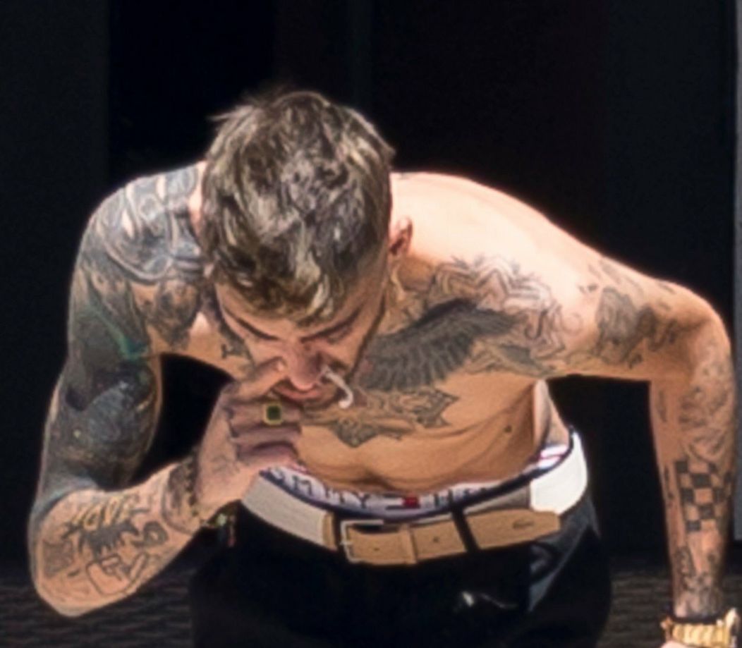 Zayn Malik