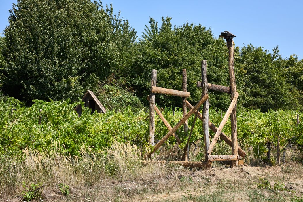 Takto vyzerá Farma 18