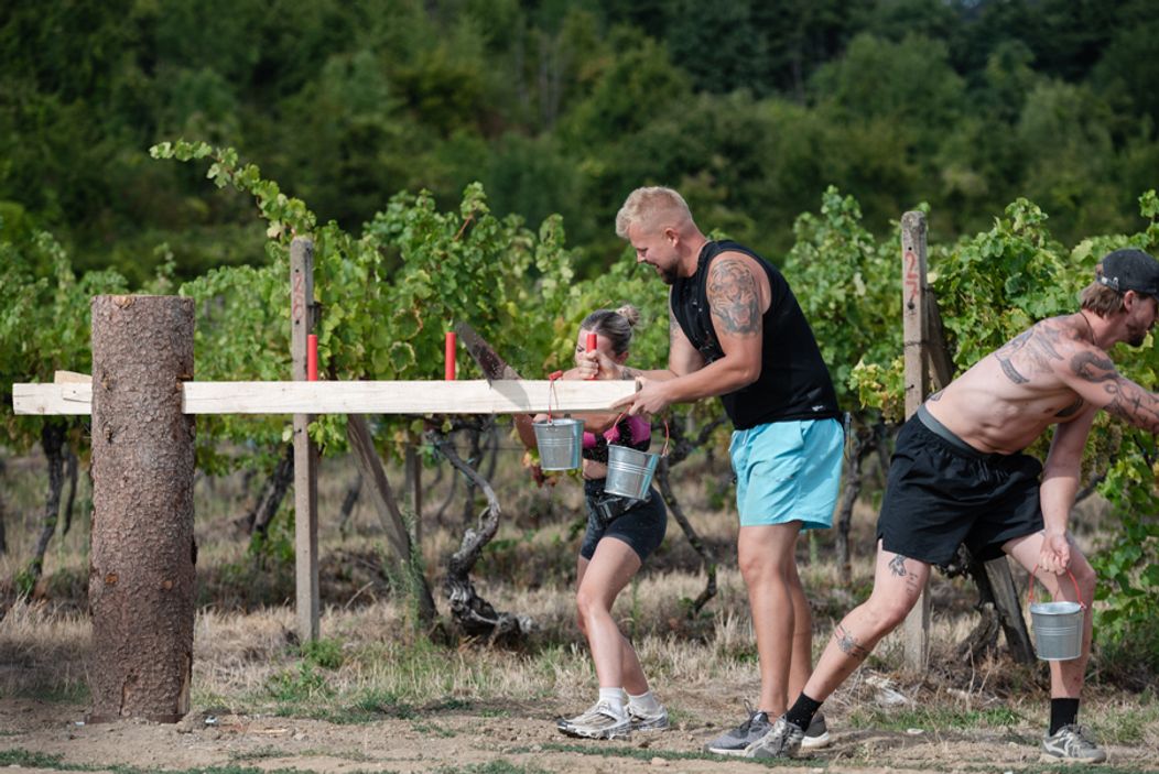 29. deň na Farme