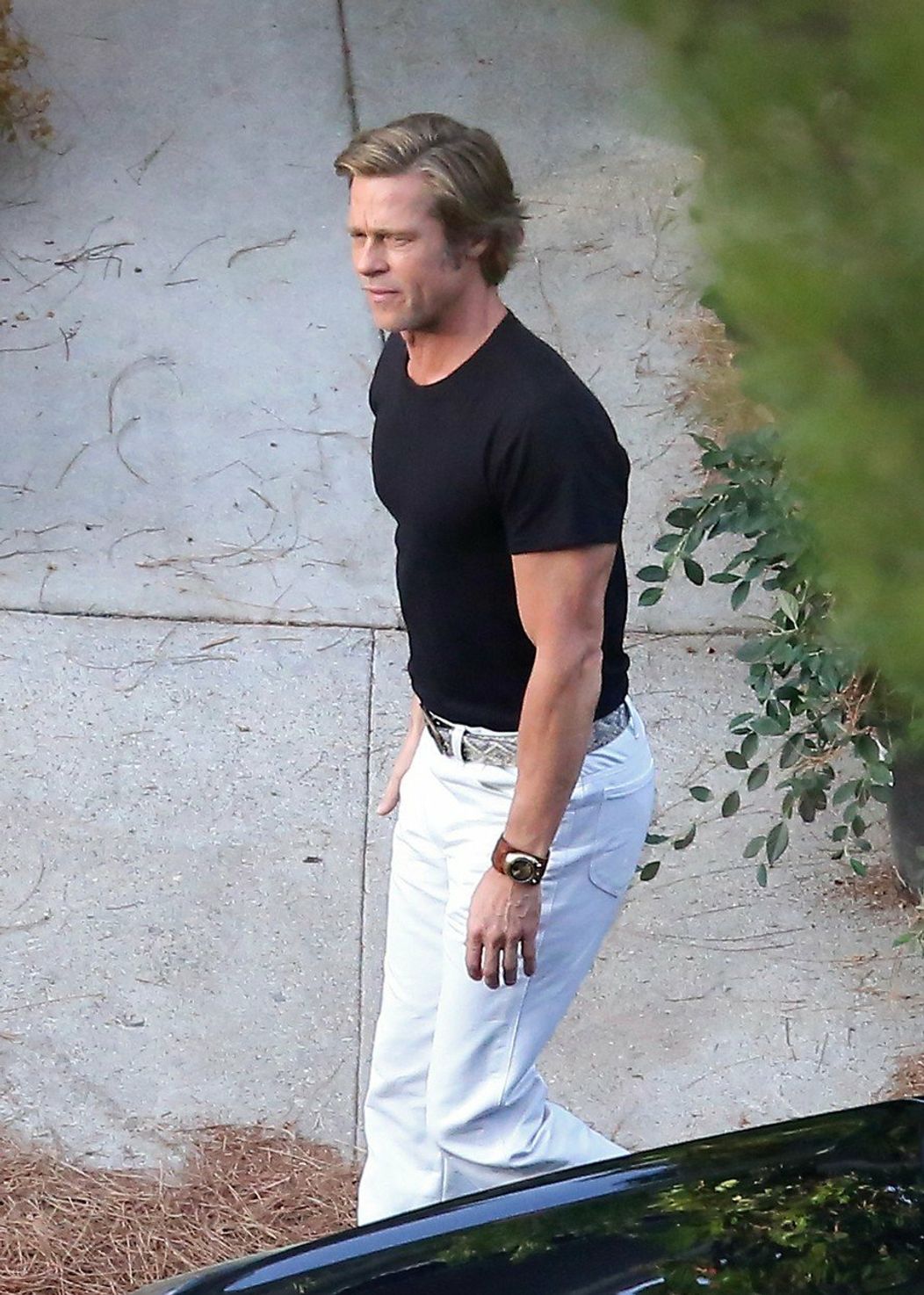 Brad Pitt