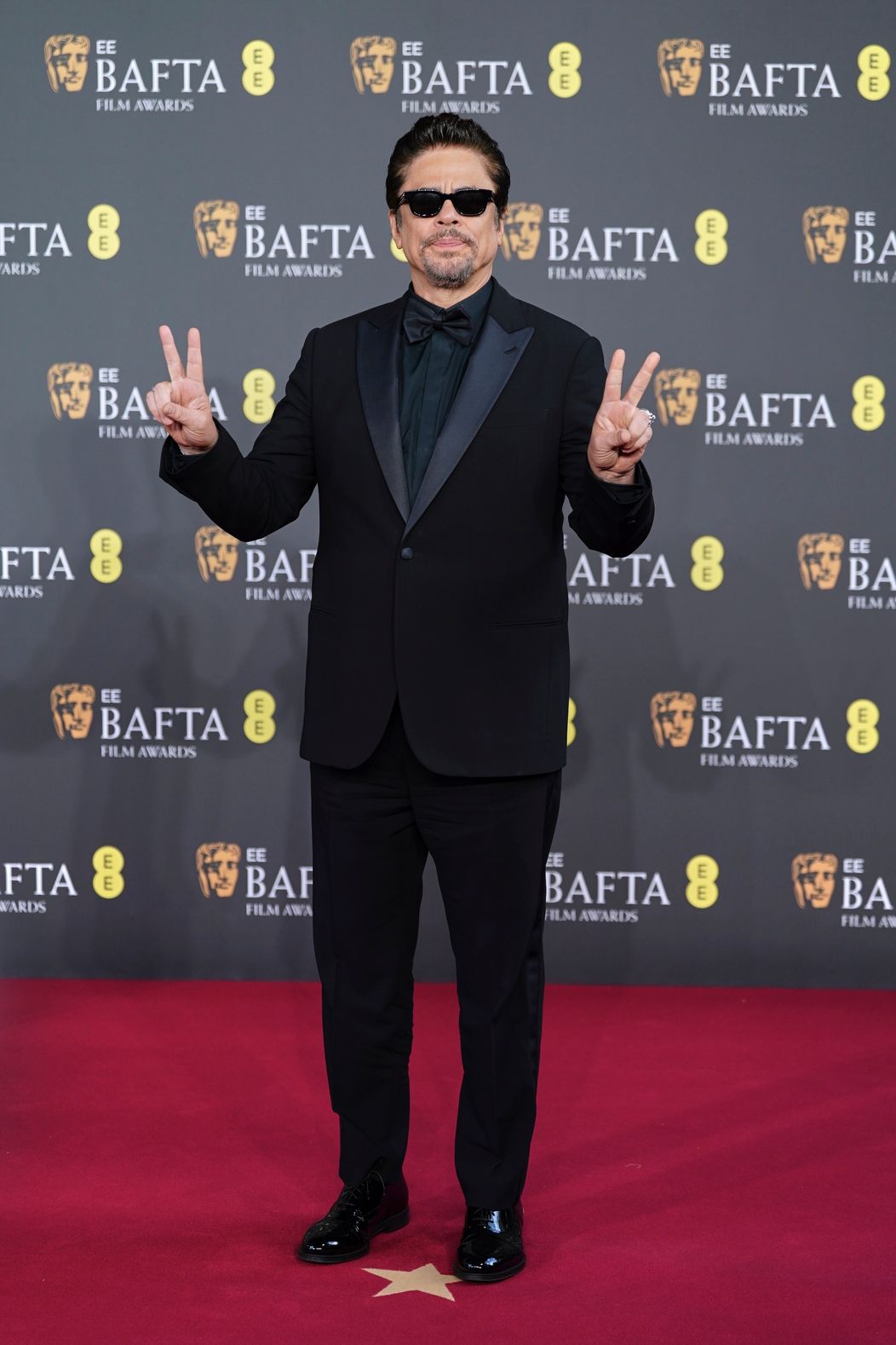 Benicio del Toro