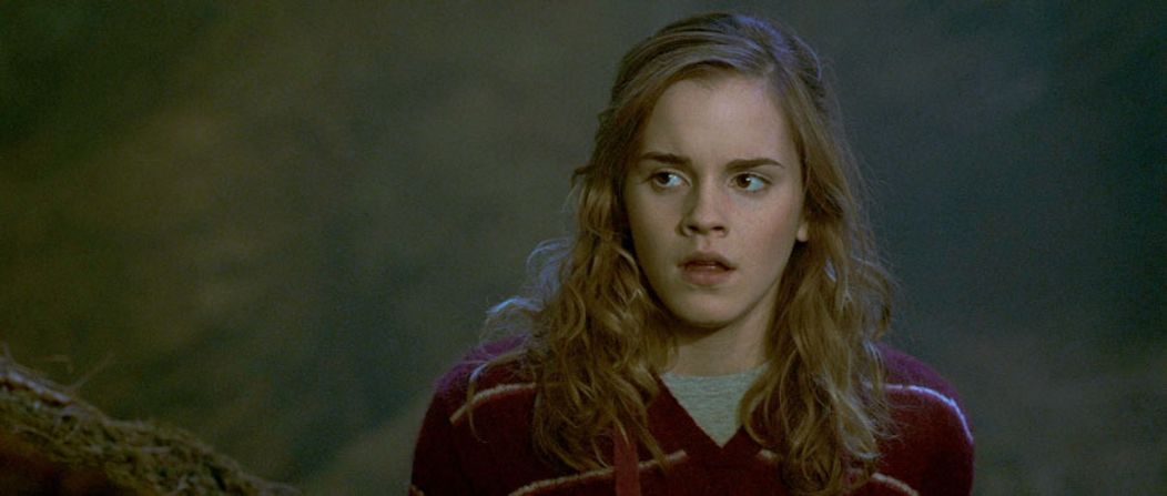 Harry Potter a Fénixov rád