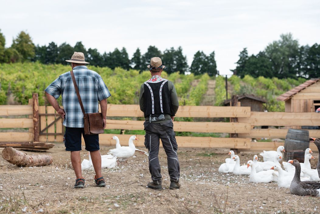 Piaty duel na Farme