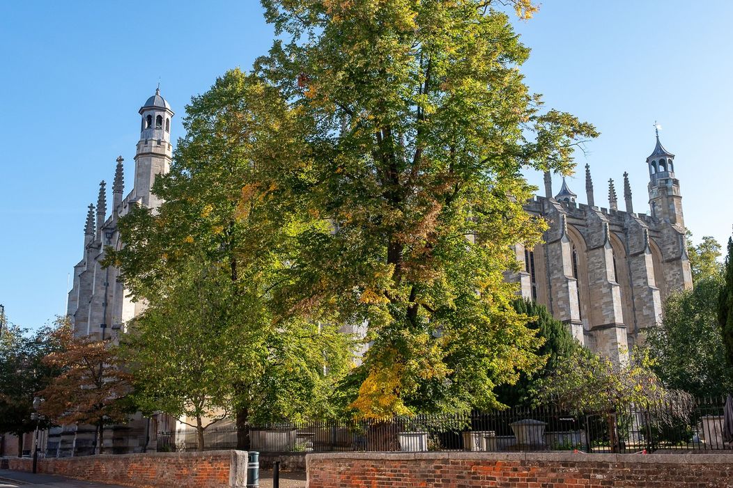 Princ George nastúpil na Eton College.