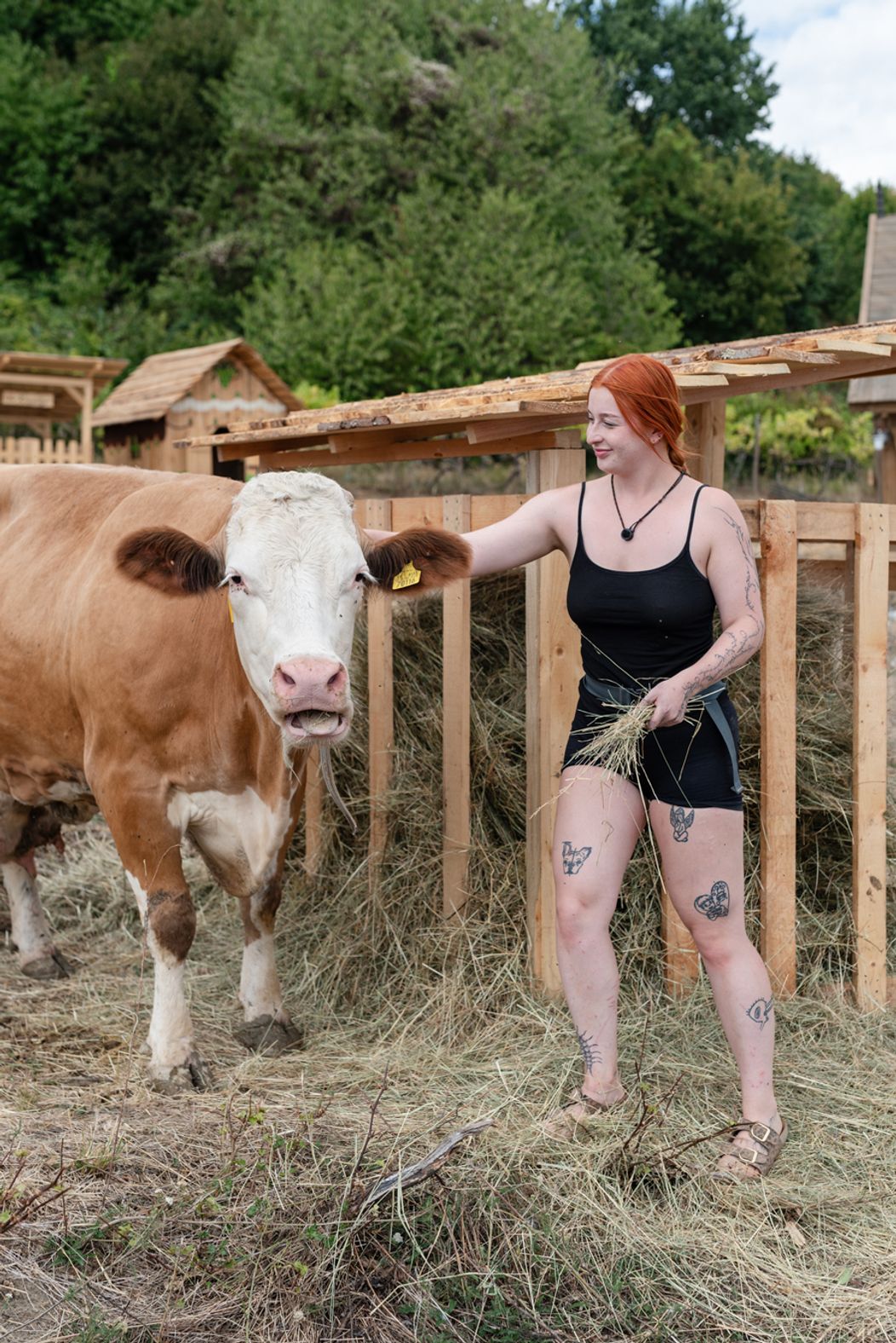 29. deň na Farme