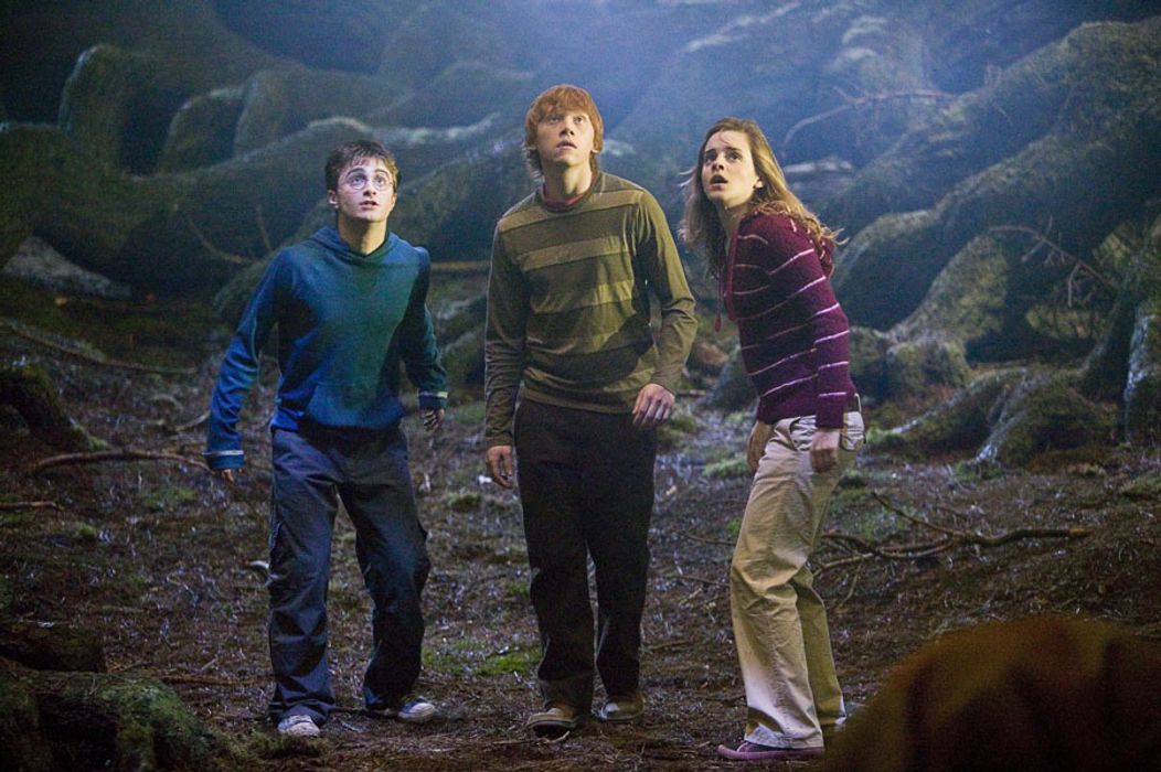 Harry Potter a Fénixov rád