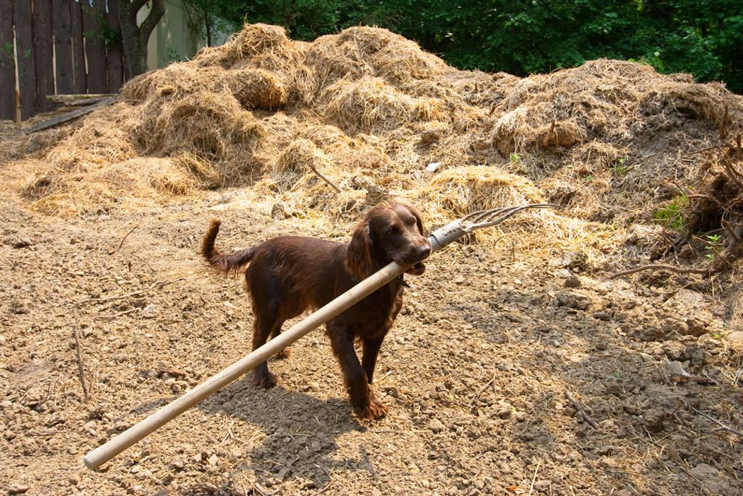Farma - Zábery z 1. série, rok 2011