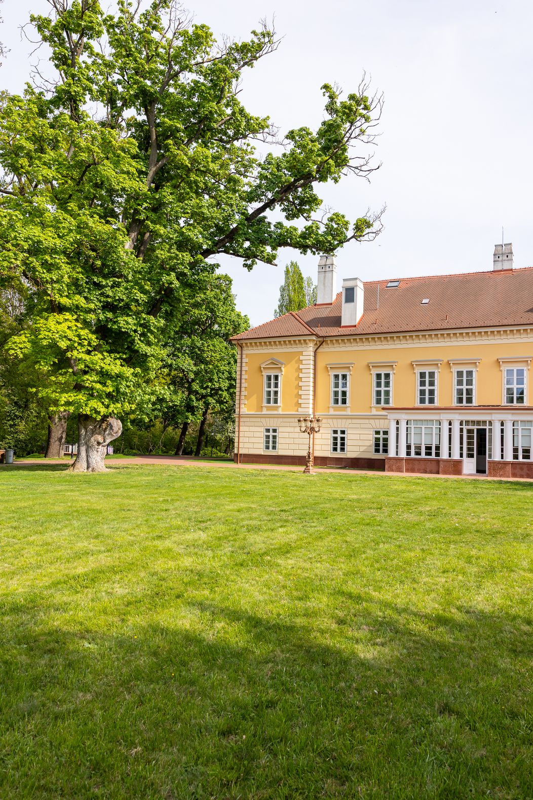 8. epizóda