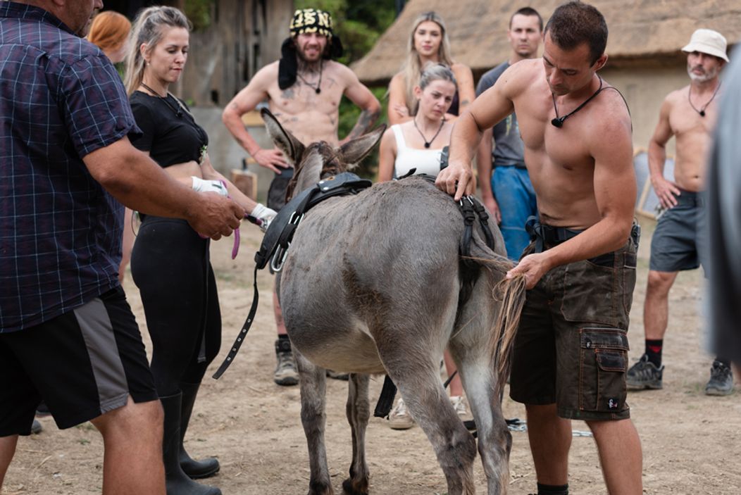 22. deň na Farme