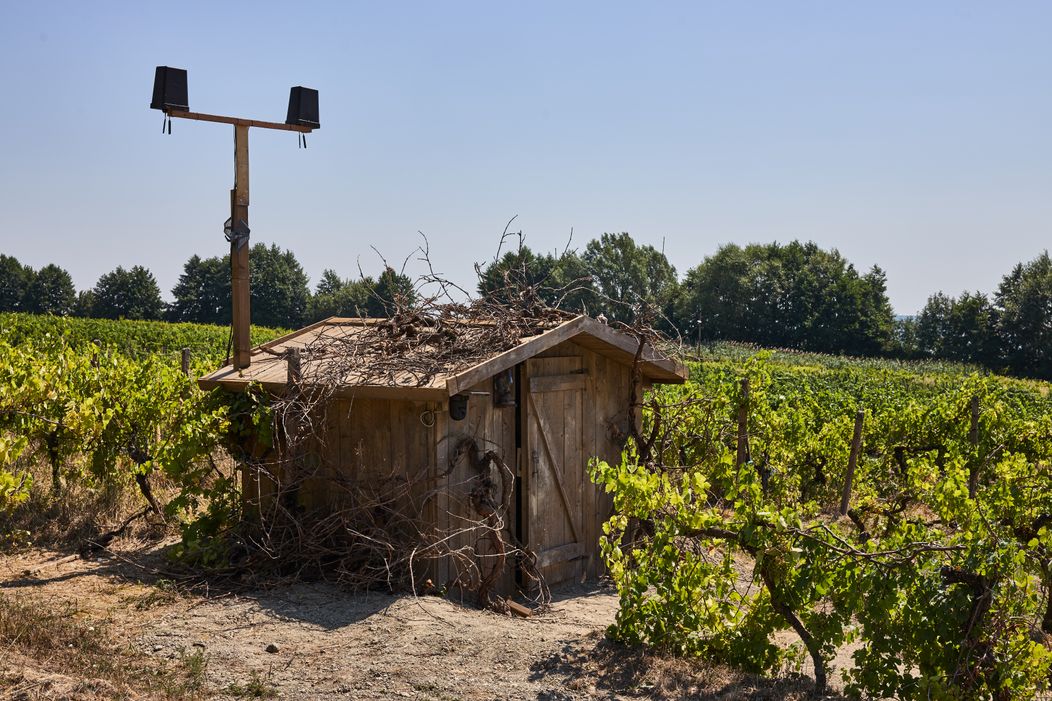 Takto vyzerá Farma 18