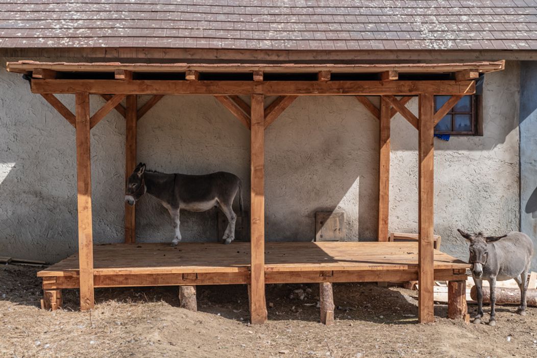 Šiesty duel na Farme