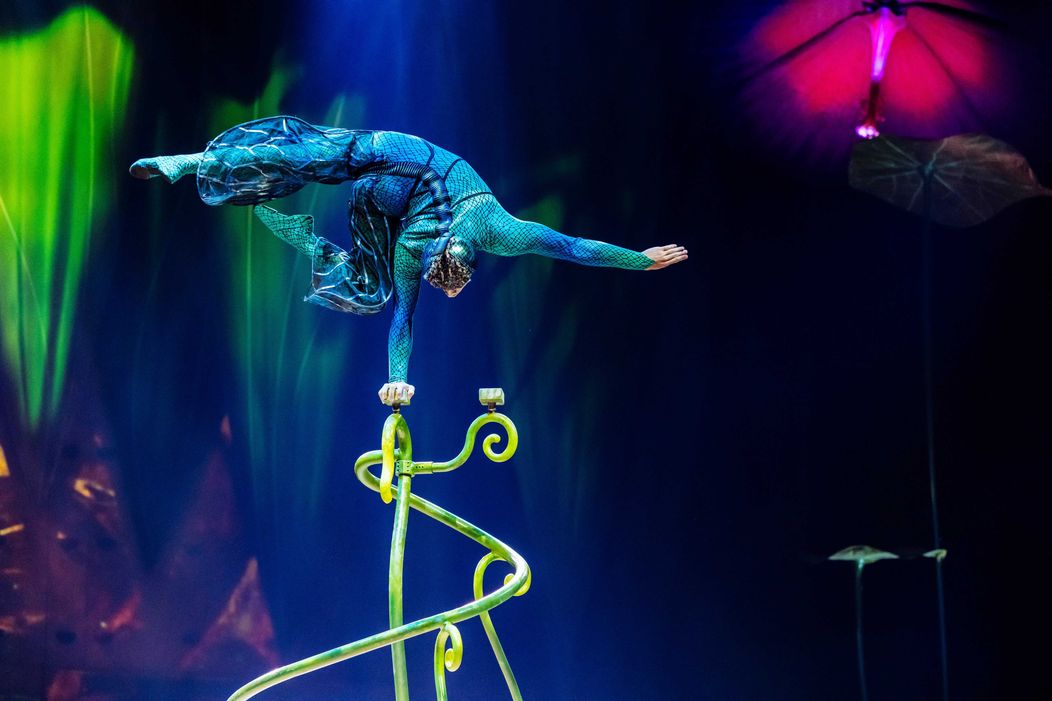 Ako vzniká OVO? Nahliadnite do zákulisia jednej z najslávnejších šou Cirque du Soleil