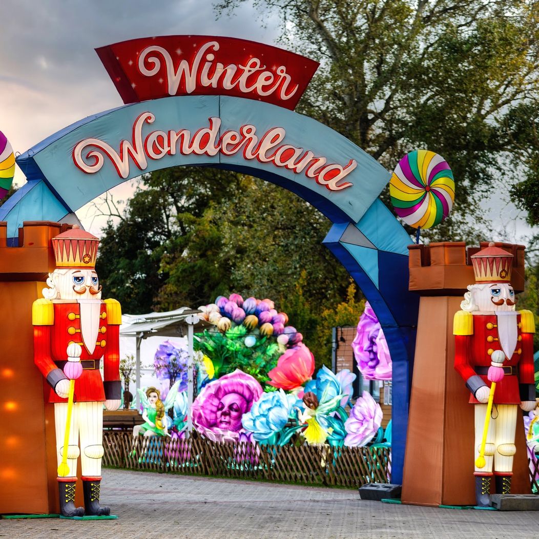 Winter Wonderland s Dominikou Mirgovou