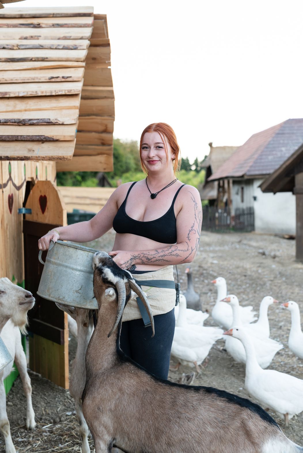 33. deň na Farme