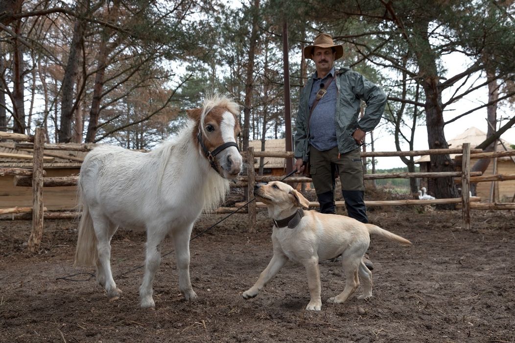 Goldyho si obľúbili všetci farmári aj zvieratká