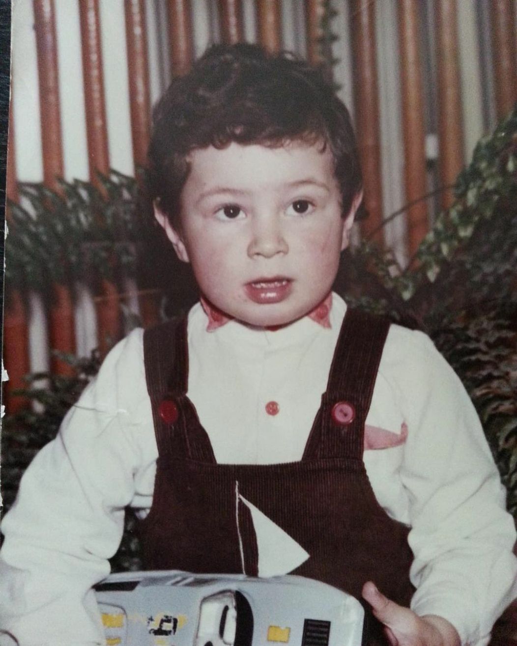 Attila Végh