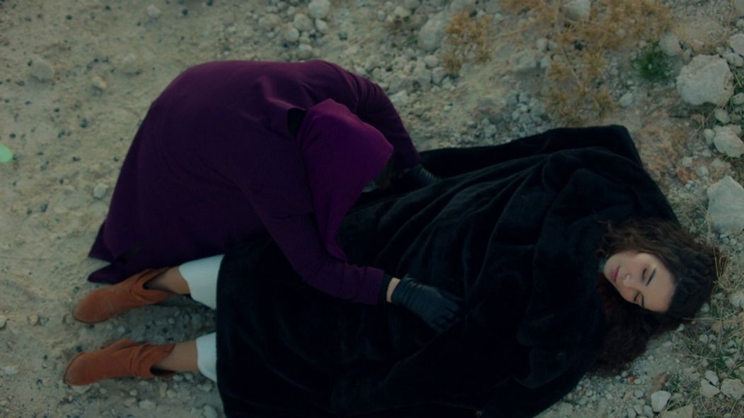 Spútaný motýľ