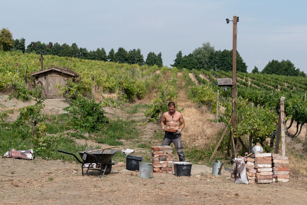 13. deň na Farme