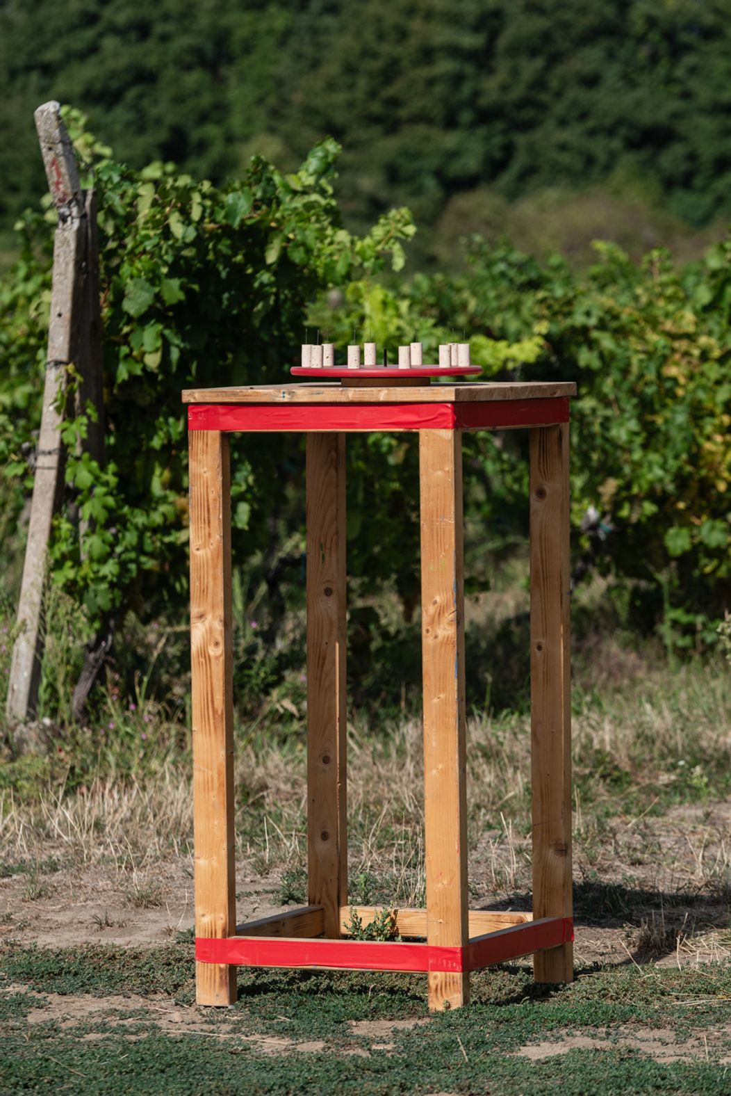34. deň na Farme