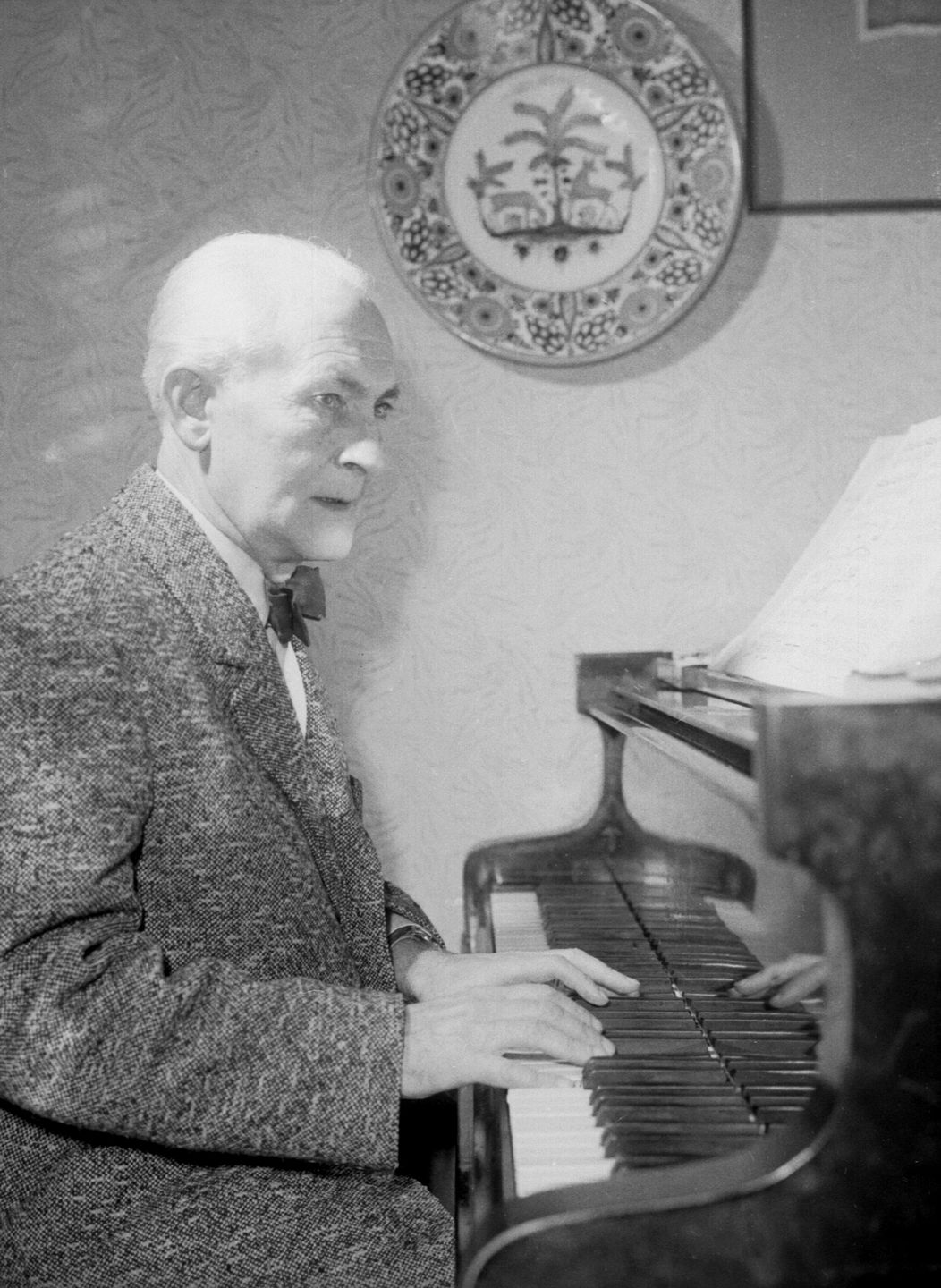 František Krištof Veselý