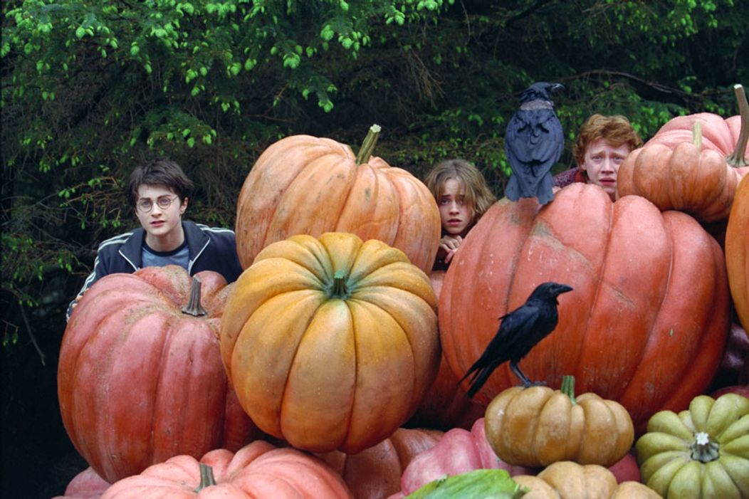 Harry Potter a Väzeň z Azkabanu