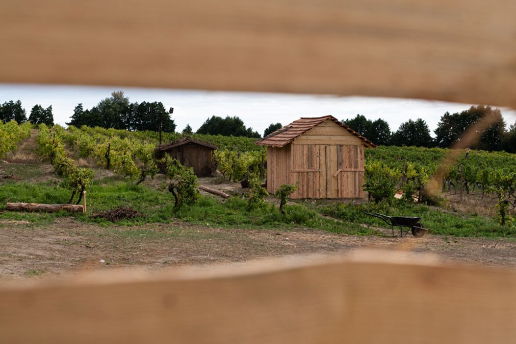 Piaty duel na Farme