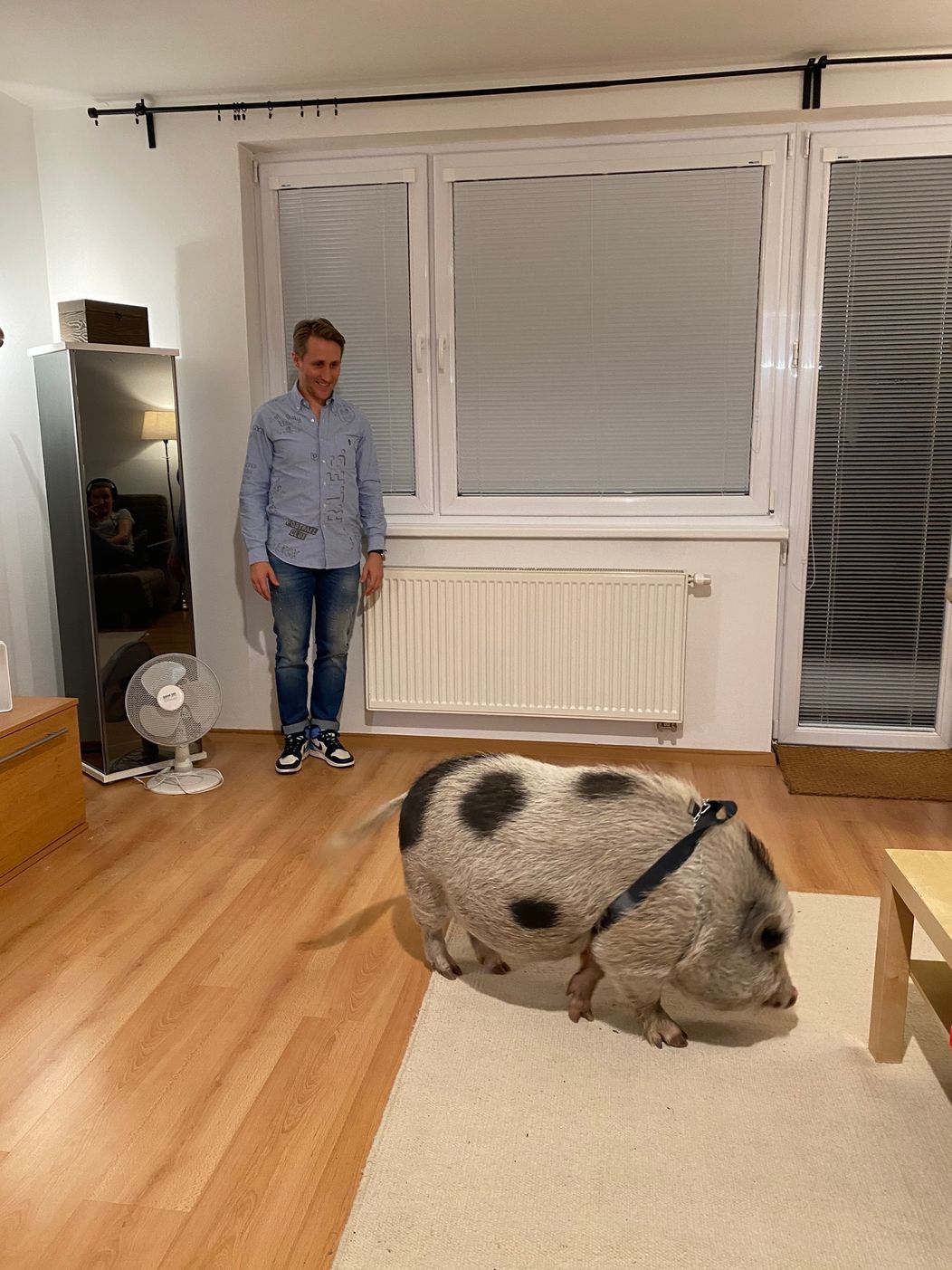 Sajfa a Jožo